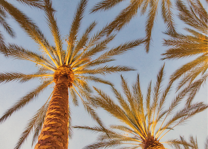 Anaheim, CA case study