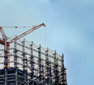 Project Management & Development Advisory